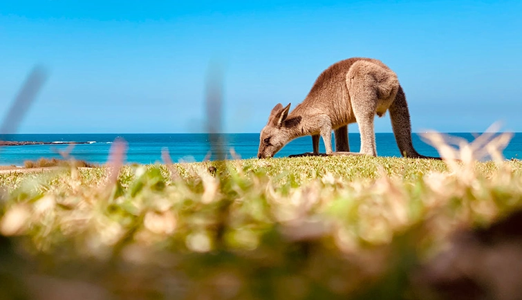 Australia Tour Packages Between Price 50000 to 100000