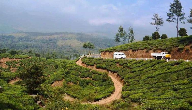 Best Kovalam Tour Packages for a Perfect Beach Vacation