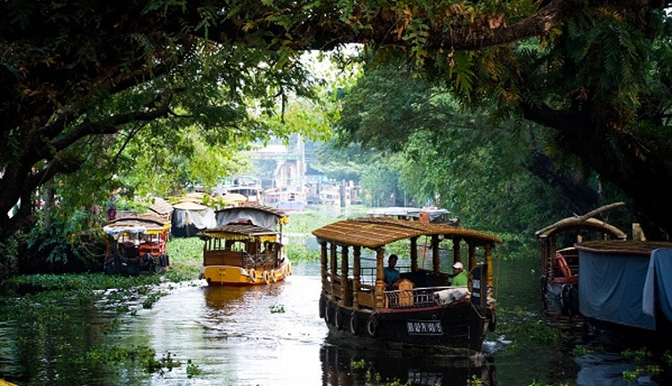 Best Munnar Tour Packages for Couples, Family & Honeymoon Trips